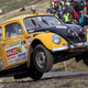 Illustration for article titled This 58-Year-Old Rally Beetle Named Bertie Is Here To Decimate All